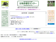 Tablet Screenshot of bdcchiba.jp